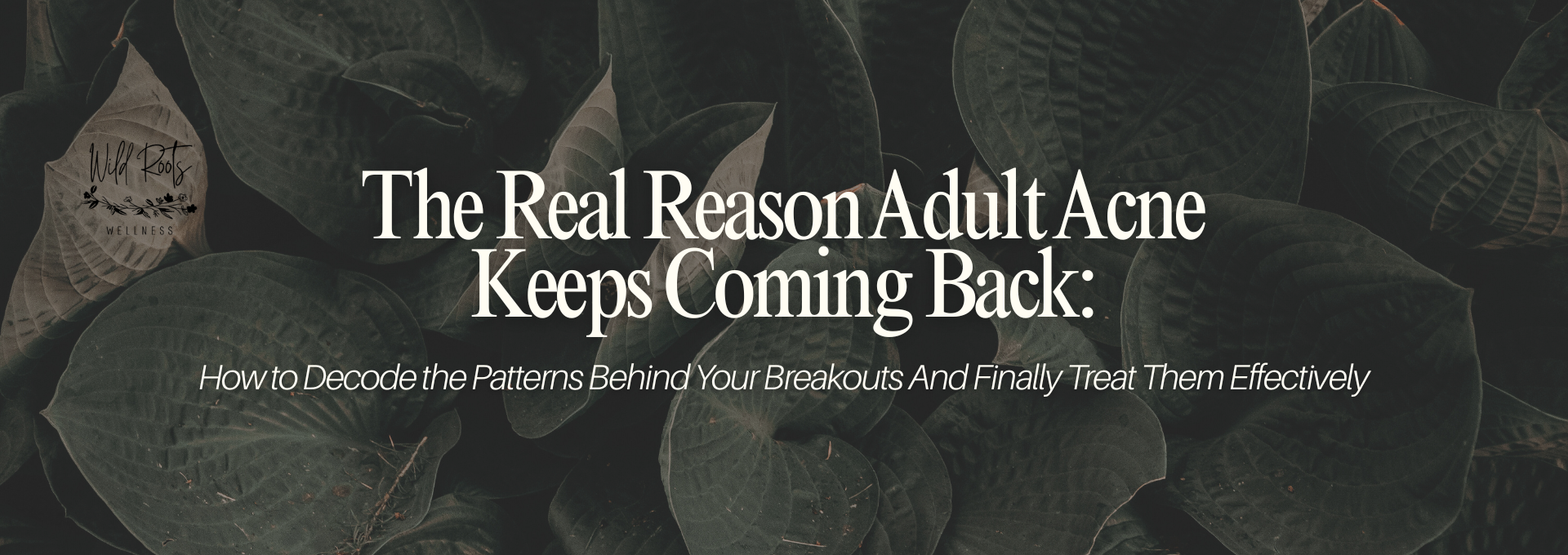 Why Adult Acne Keeps Returning—and How to Understand What Your Skin Is Really Doing