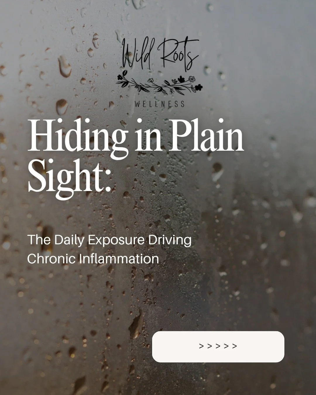 When we talk about chronic inflammation, most conversations center on food, stress, or exercise.

But there&rsquo;s another variable shaping your physiology every day: environmental exposure.

Microplastics  microscopic fragments that come from degra