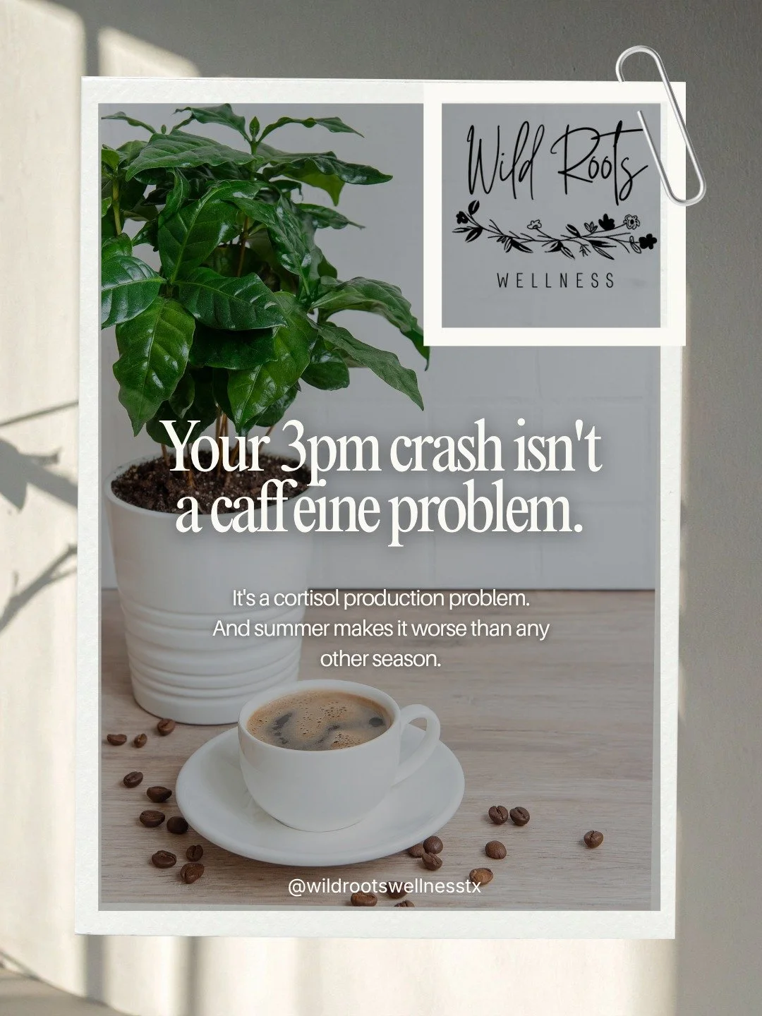 You used to push through the afternoon without thinking about it.

Now you're reaching for coffee at 2:45pm because your brain feels like it's running through wet concrete. The meeting at 3pm takes twice the focus it should. By 4, you're done. Not sl