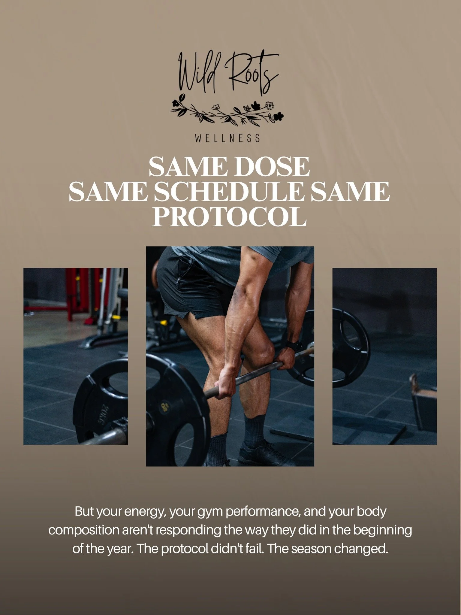 You&rsquo;ve been consistent with your routine for months.

Your energy felt steady.
Training felt productive.
Recovery felt manageable.

Then gradually, something started to feel different.

Workouts feel harder to recover from.
Strength or performa