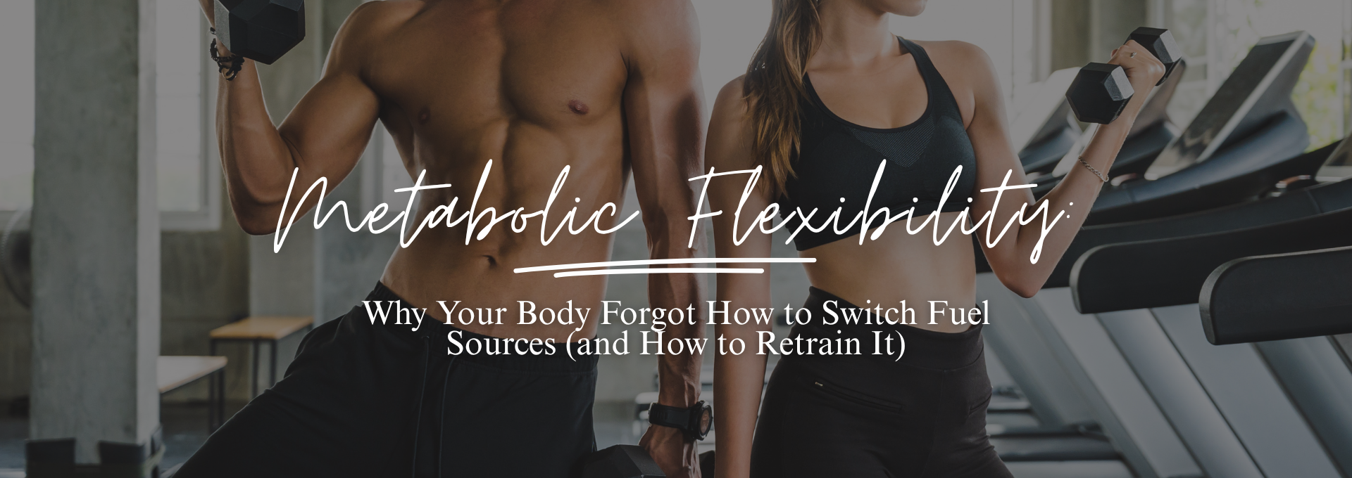 Metabolic Flexibility: Why Your Body Forgot How to Switch Fuel Sources (and How to Retrain It)