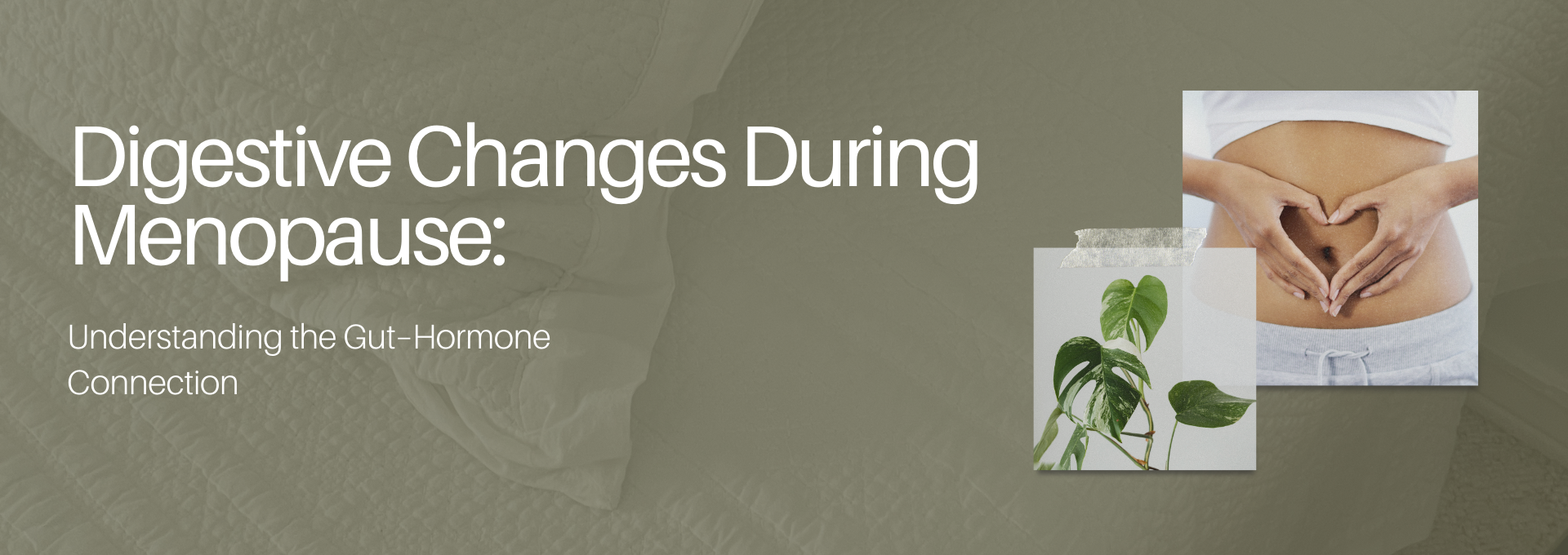 Digestive Changes During Menopause: Understanding the Gut–Hormone Connection