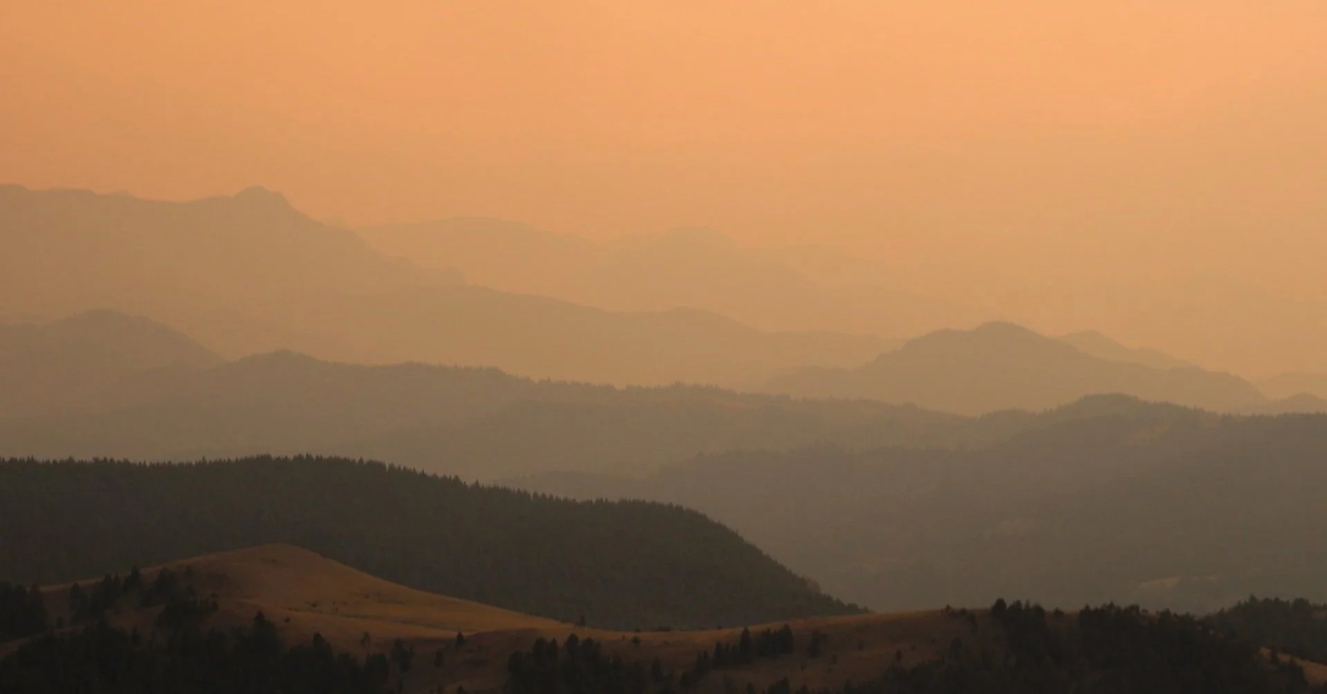 People Don’t Change