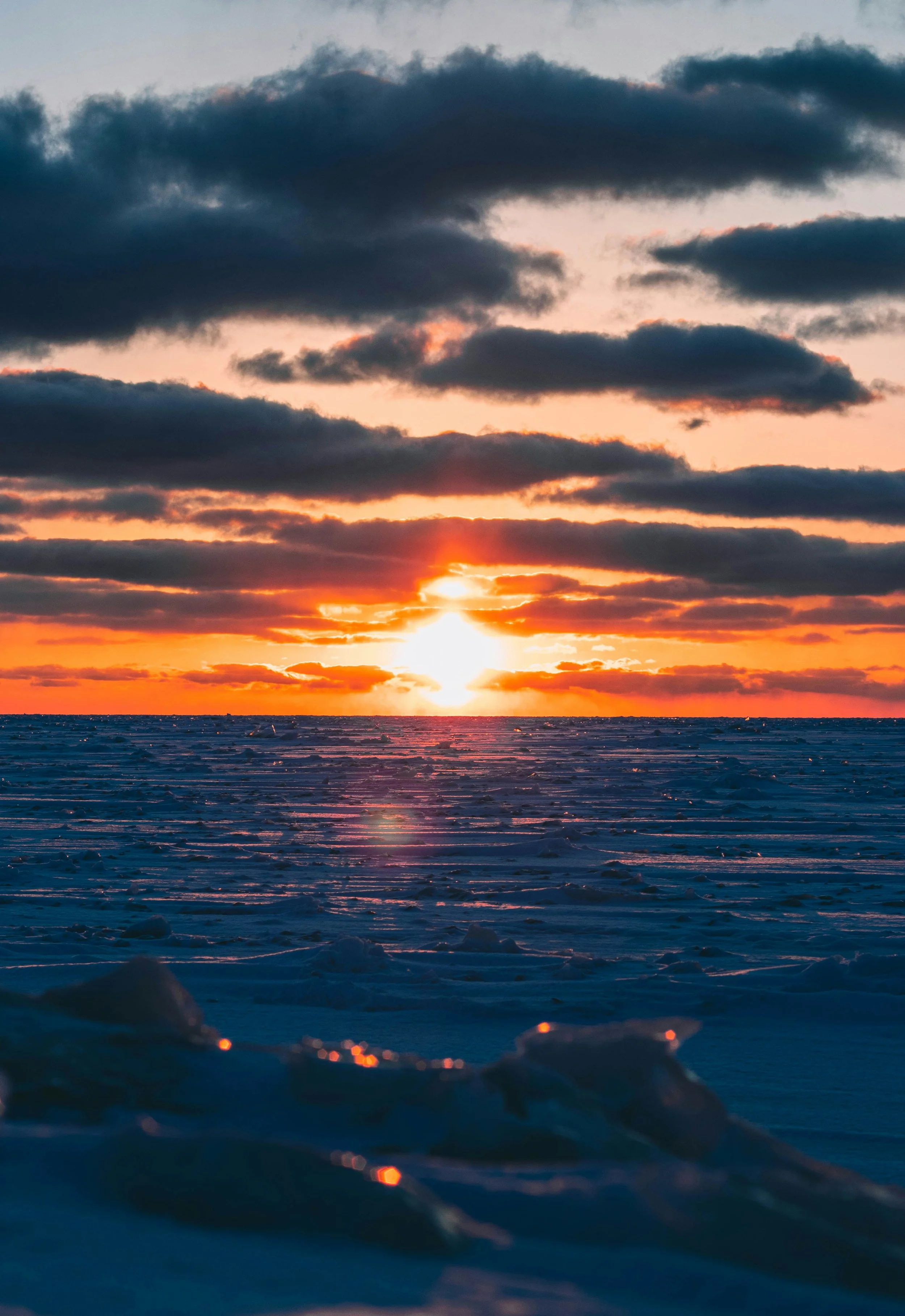 GIFT-LESS AND FISH-LESS ON CHRISTMAS EVE