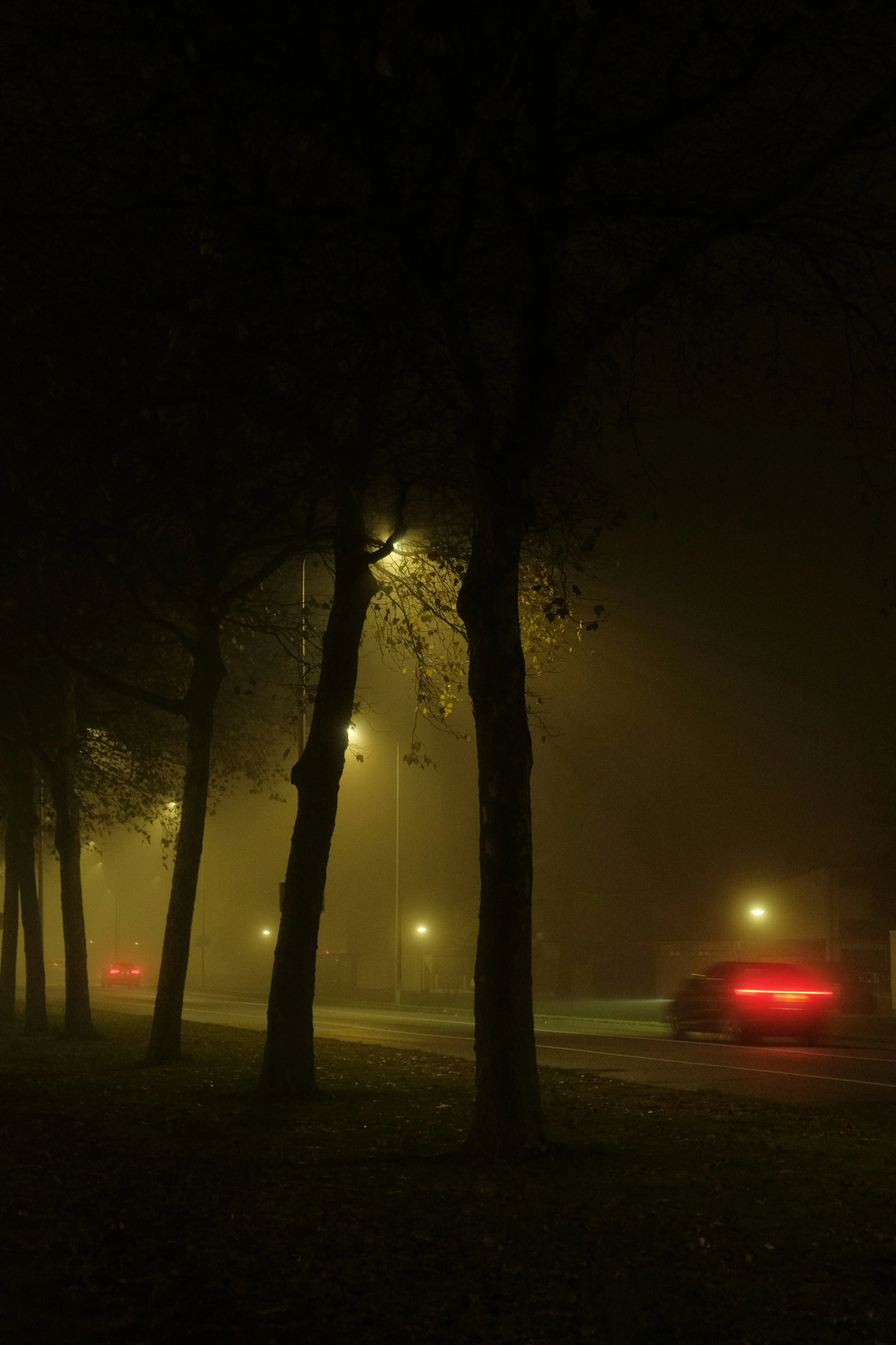 Roadside Distraction