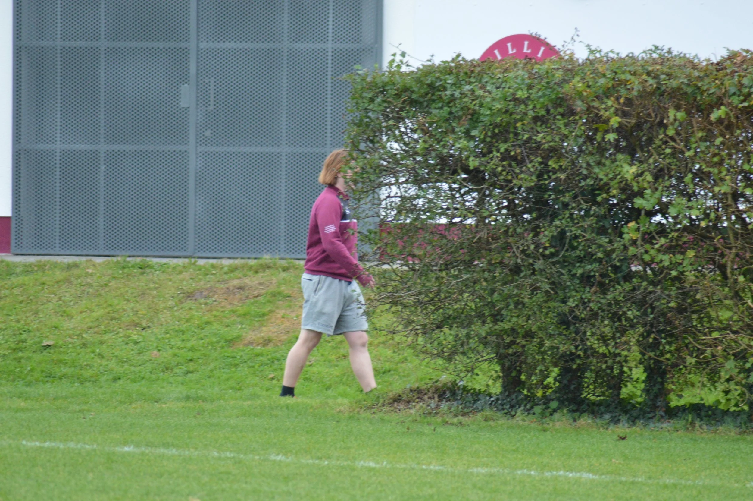 DSC_0708.jpg
