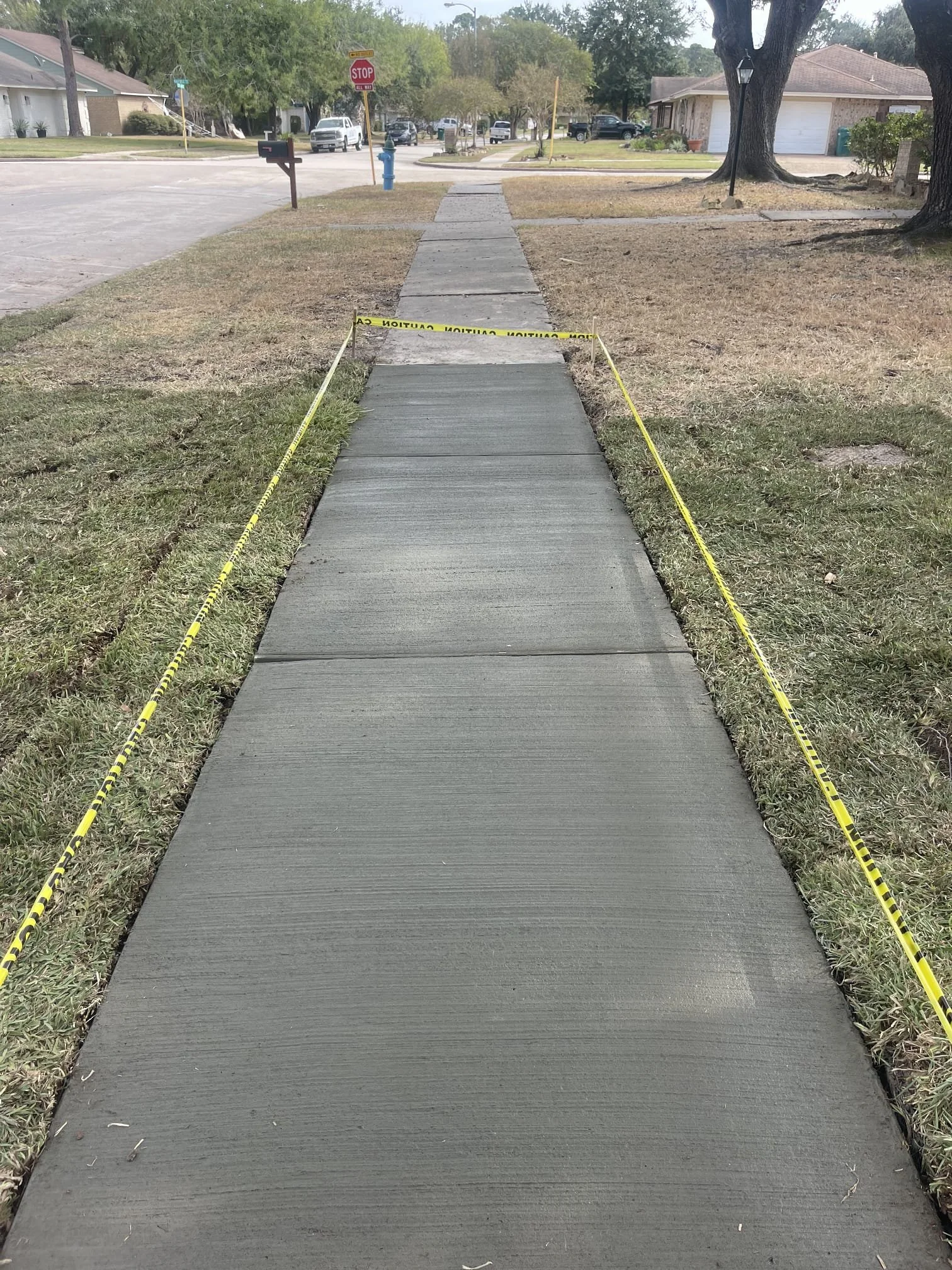 WhatsApp Image 2024-10-17 at 22.30.24_5879a08f.jpg