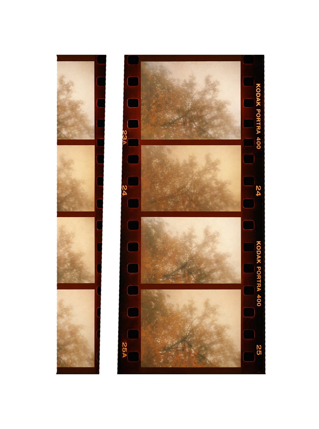 Untitled-1.jpg