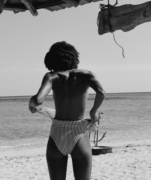 scampi_stephenbutkus_20247 (1).webp