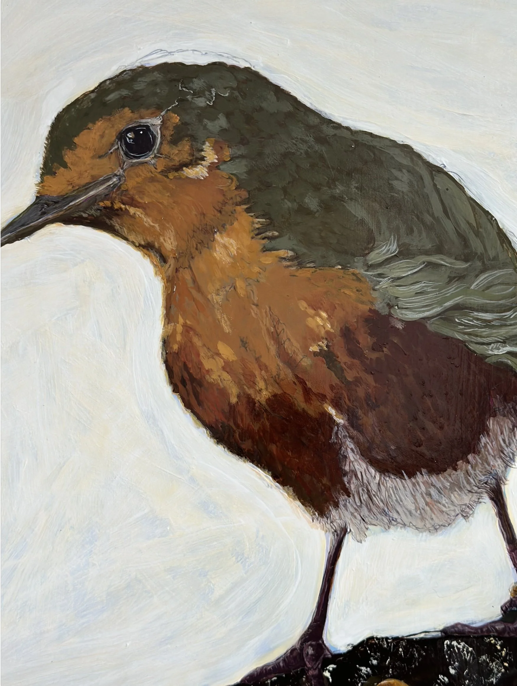 Close-up of a bird with orange, brown, green, and gray feathers, standing on a black surface, painted with visible brushstrokes.