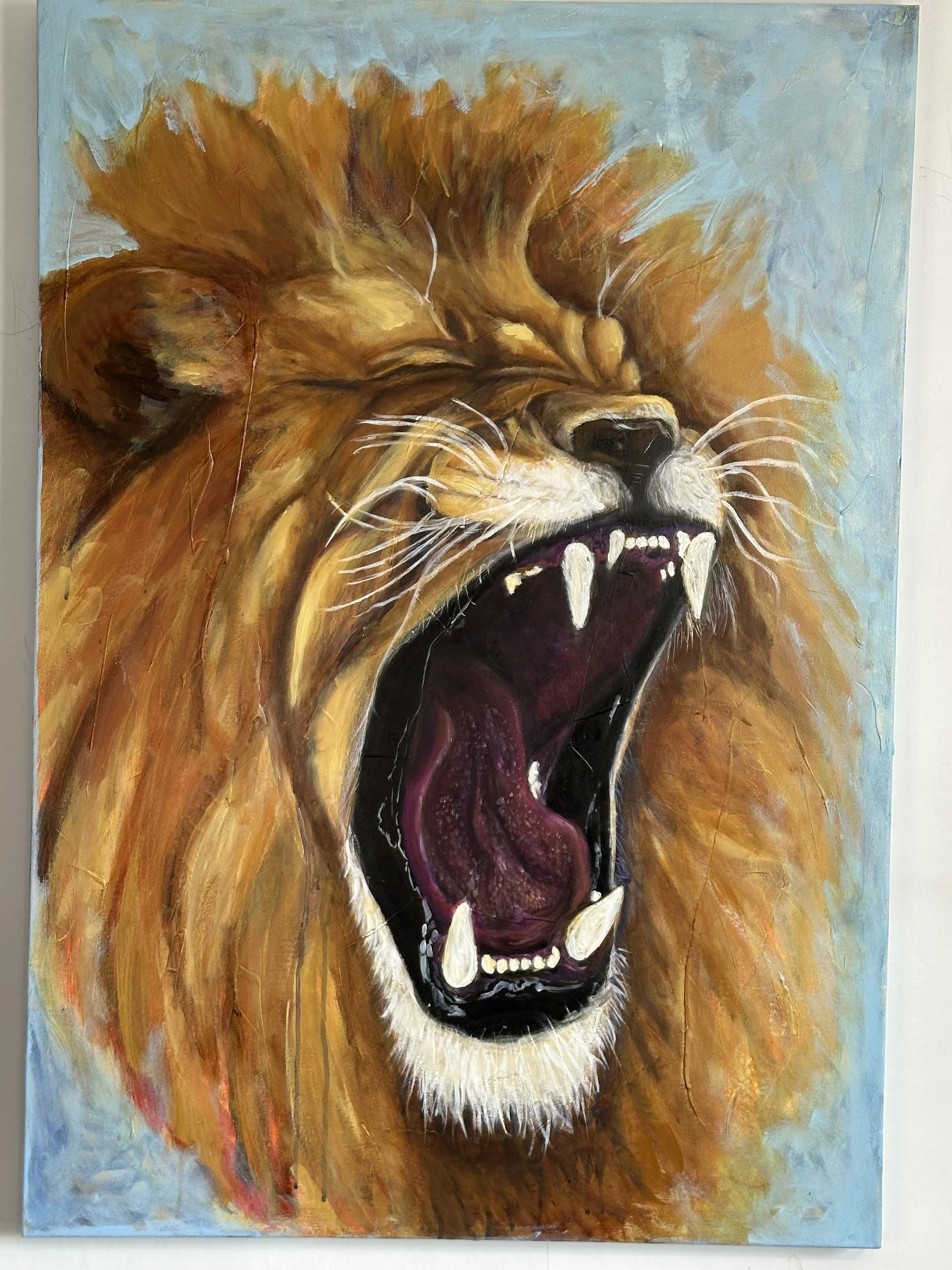 Animal Portrait Series