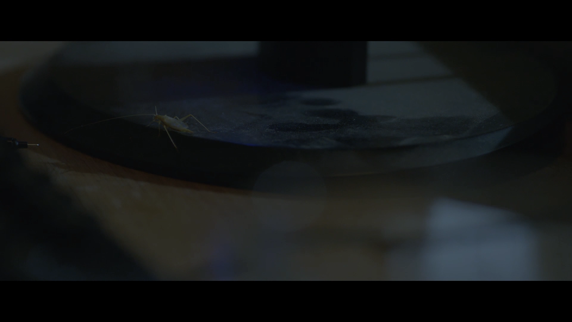 15min Film Final.00_01_02_13.Still006.png