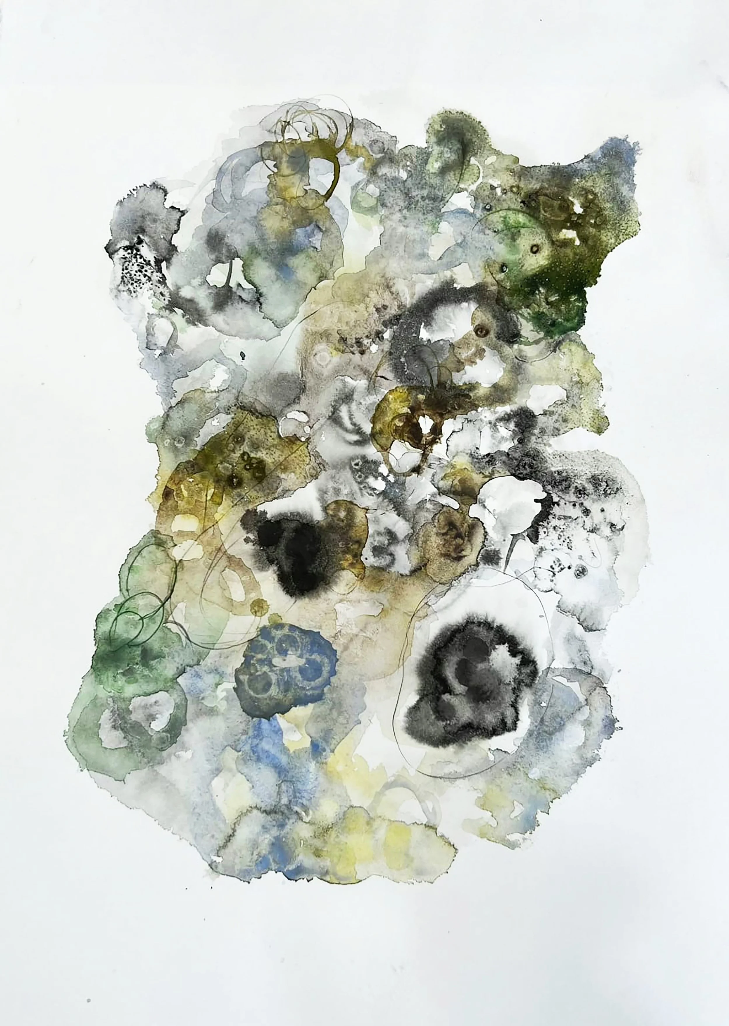 "Foggy Brain" 1/2