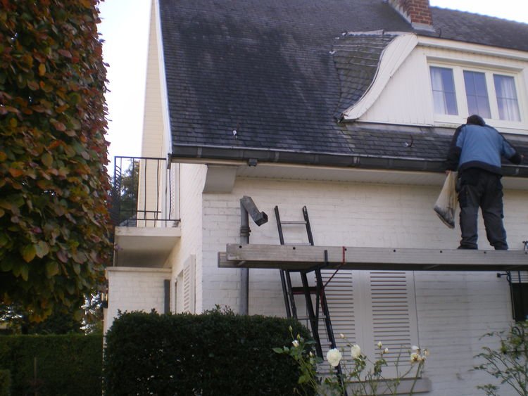 cover (6).jpg