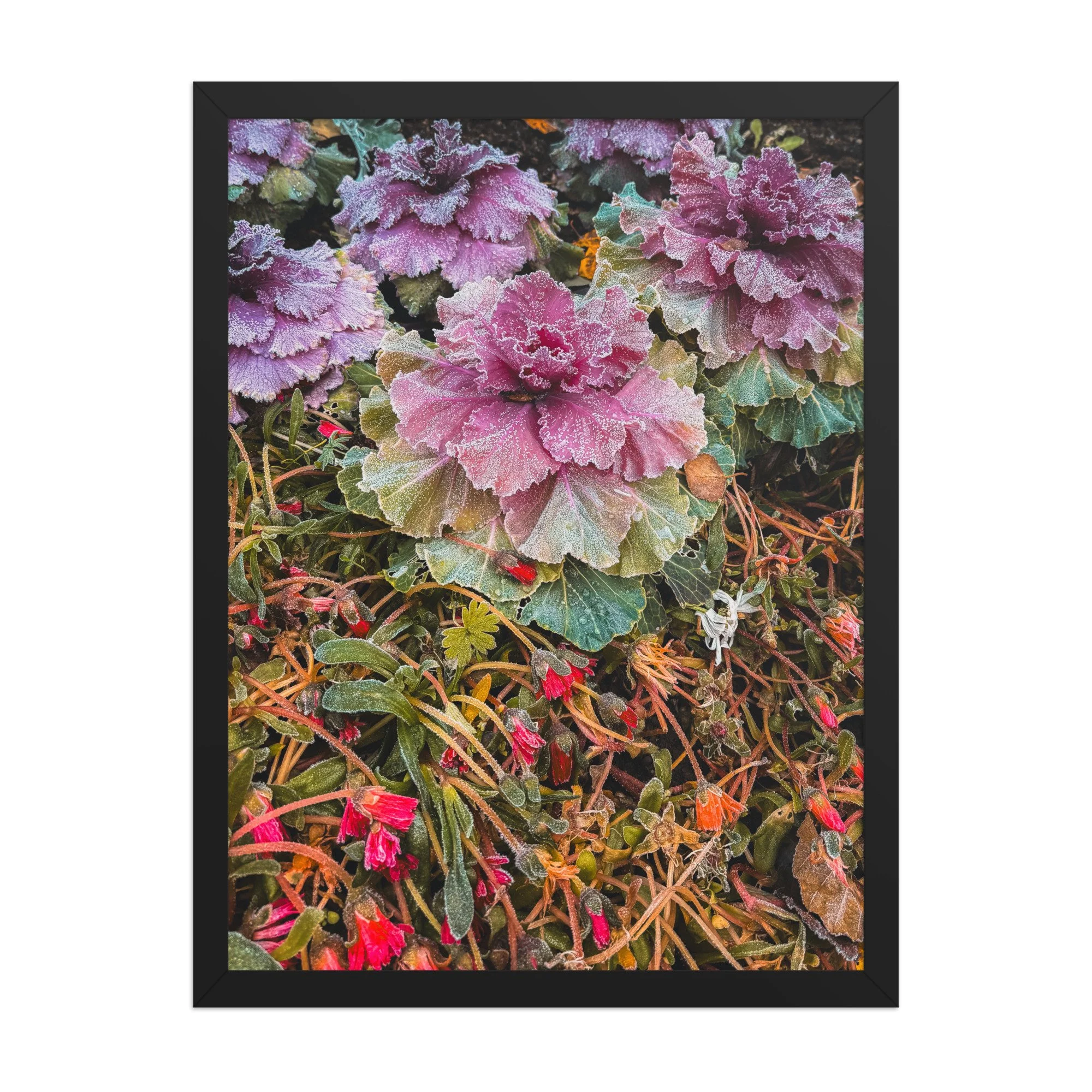 Lystigarður - Folk Tale Framed