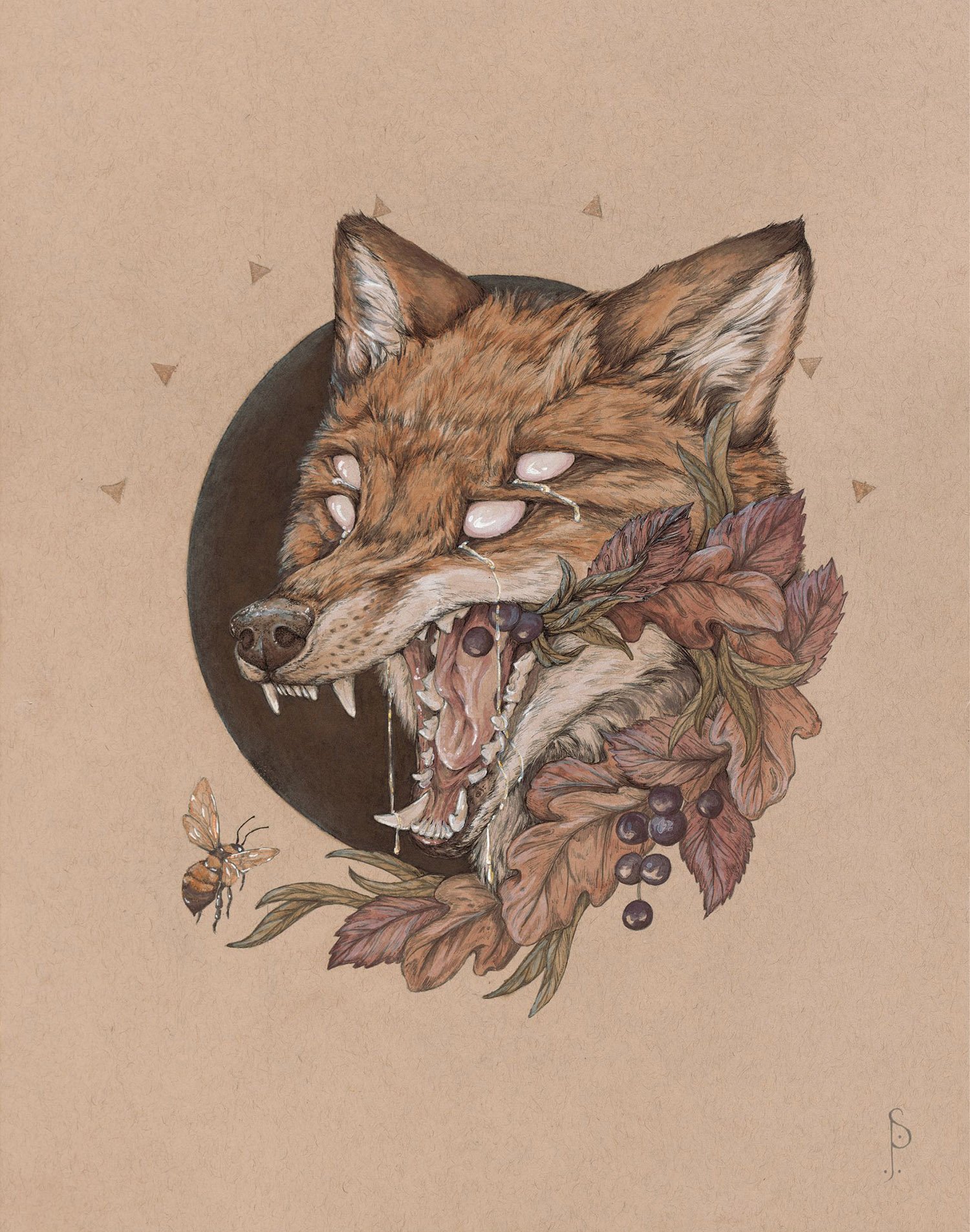 weeping fox watermarked.jpg