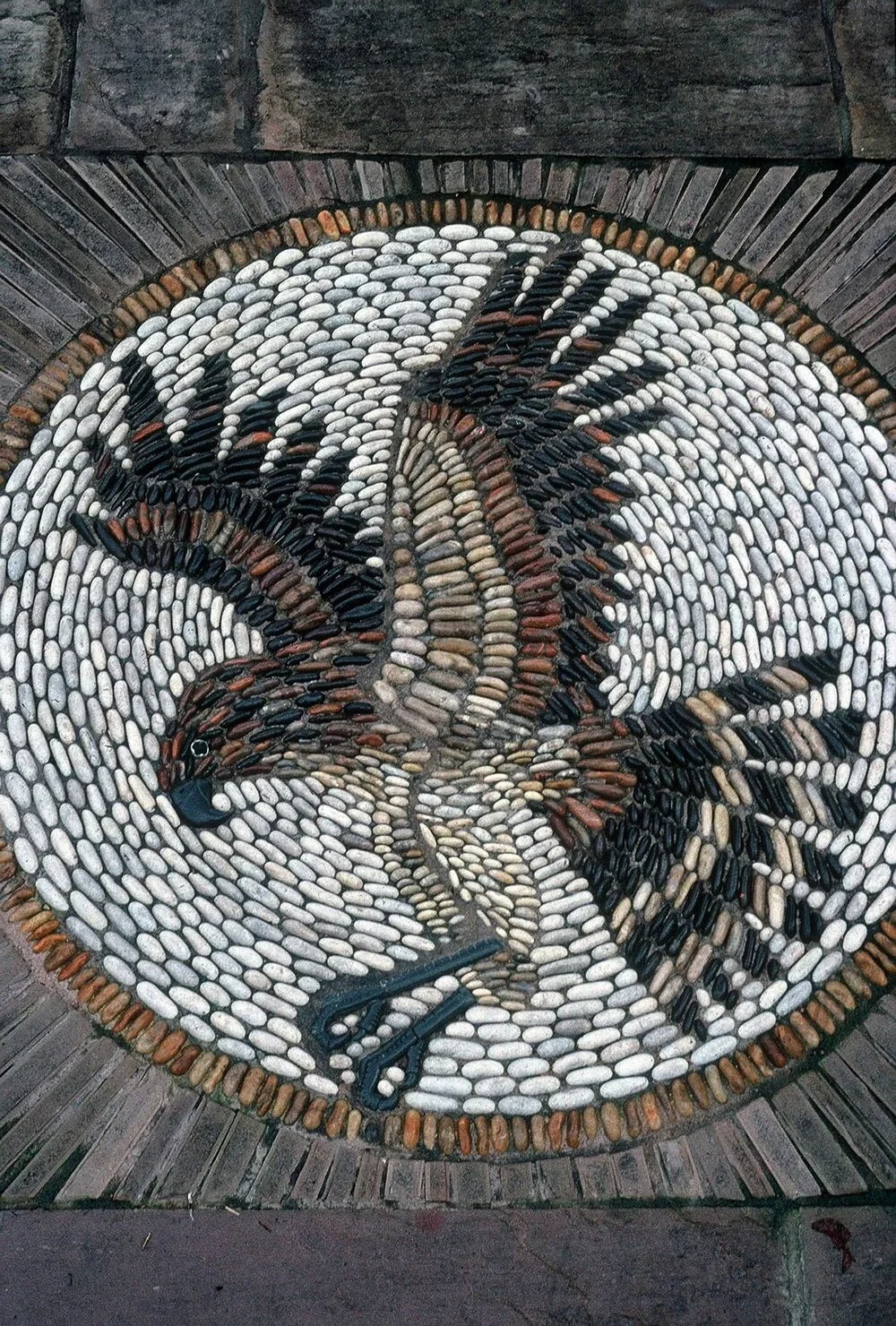 Astjohnseagle.jpg.webp