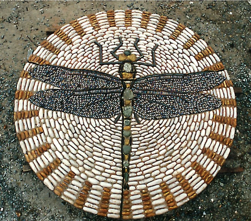Dragonfly pic .jpg