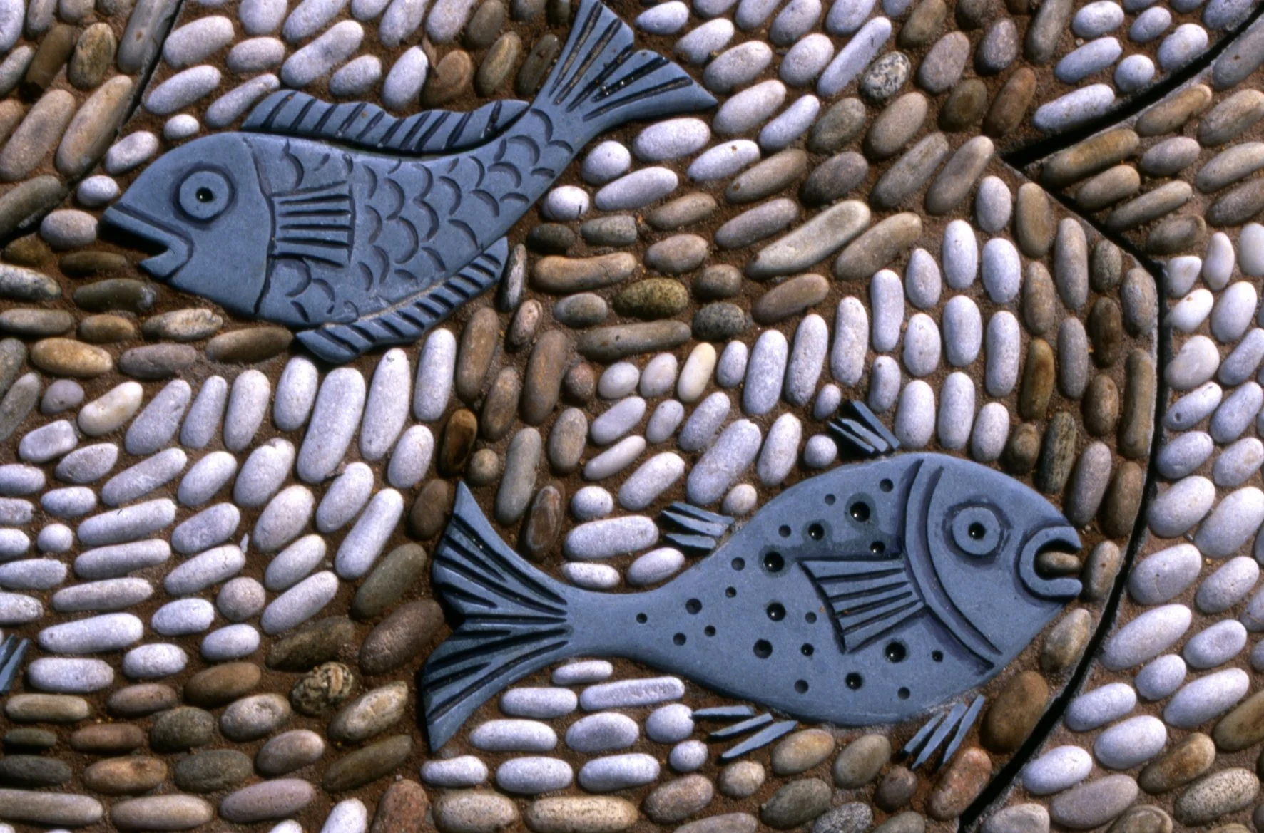 FISH DETAIL MURDOCH.jpeg