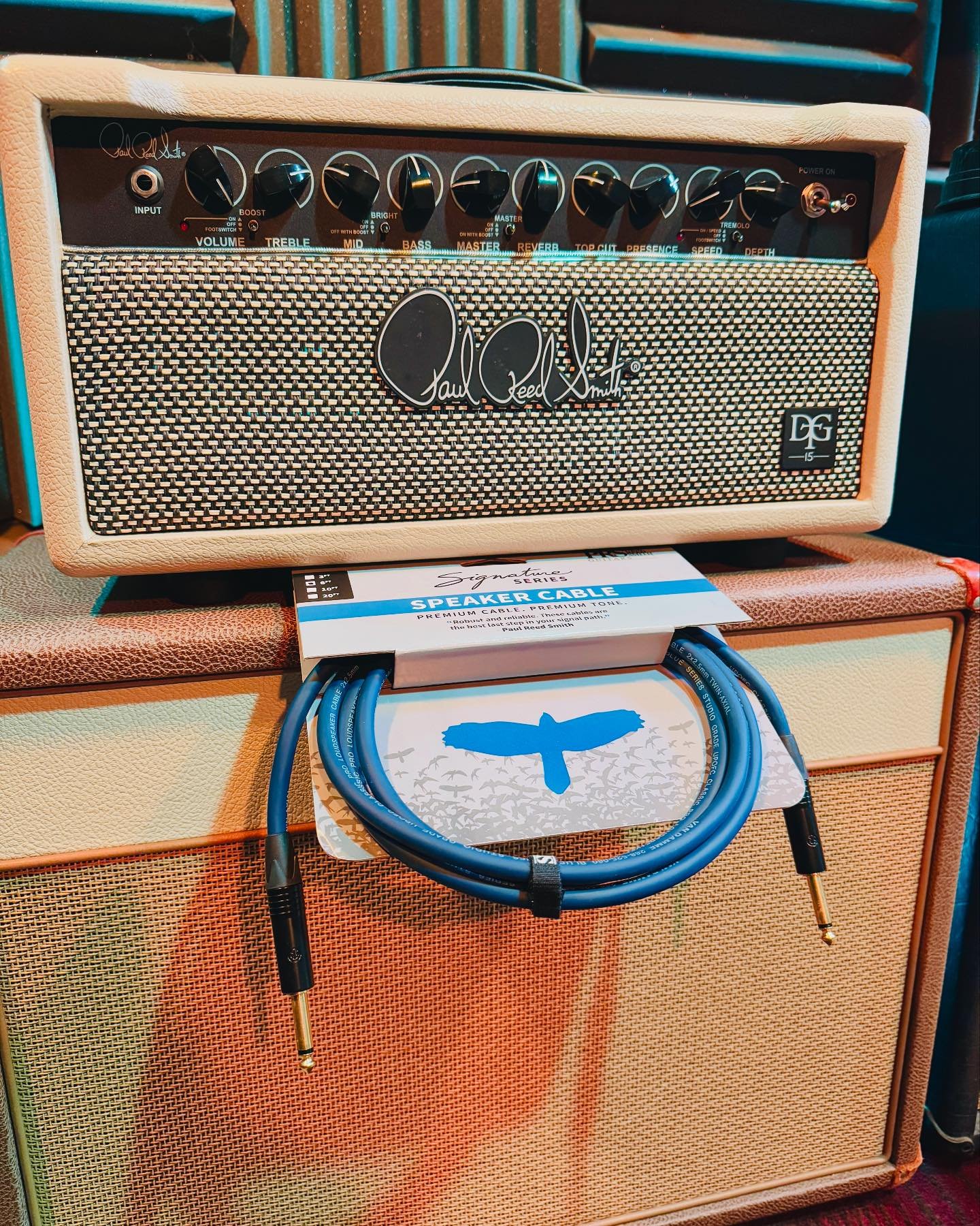 My speaker cable came in right on time from @prsguitars to try this beast of an amplifier!  It&rsquo;s sooo underrated! 
.
Video demo coming soon! 
.
.
#prs #prsguitars #tubeamp #tubeguitaramp #prsdgt #dgt #dgt15 #toan #kingoftoan #myprs