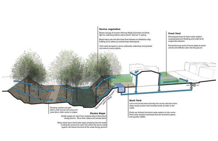 YellowCreekRavine+01.jpg