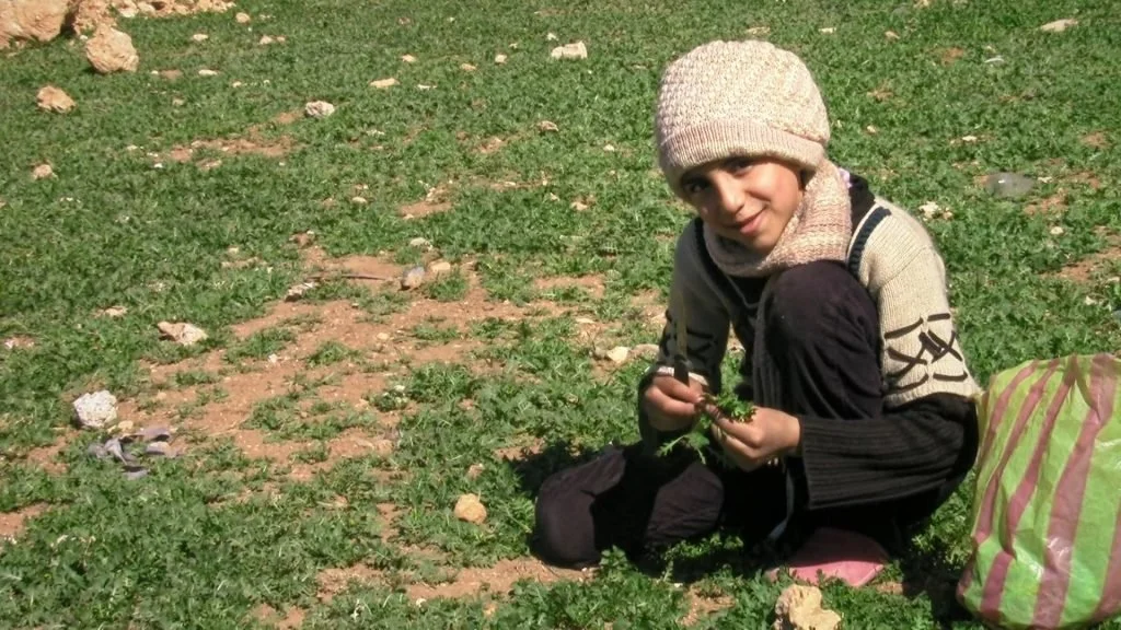 Little_Palestine_10-1-1024x576.jpg