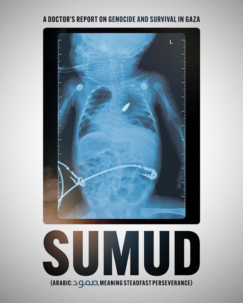 sumud poster.jpg