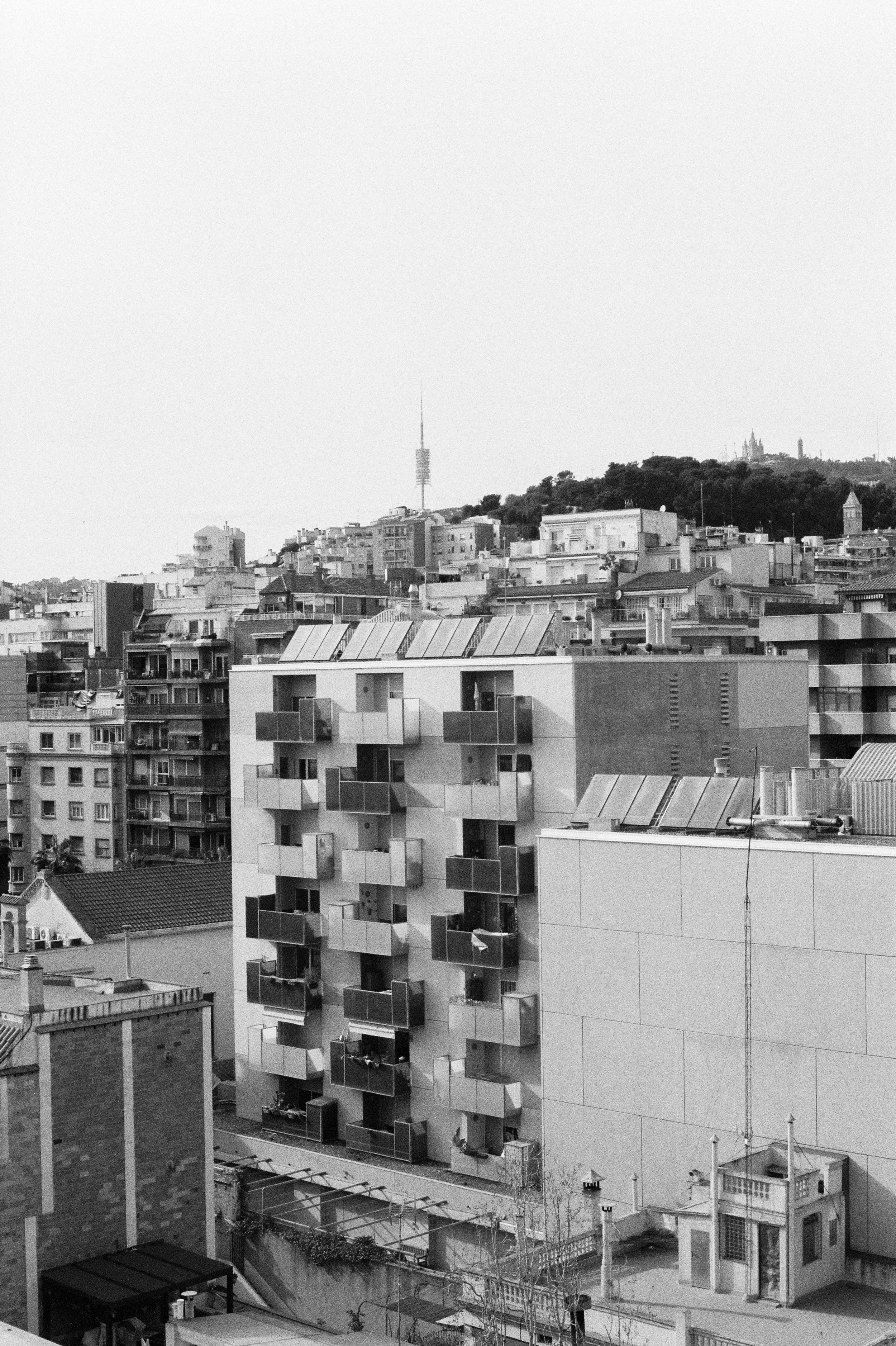 000050-2.jpg
