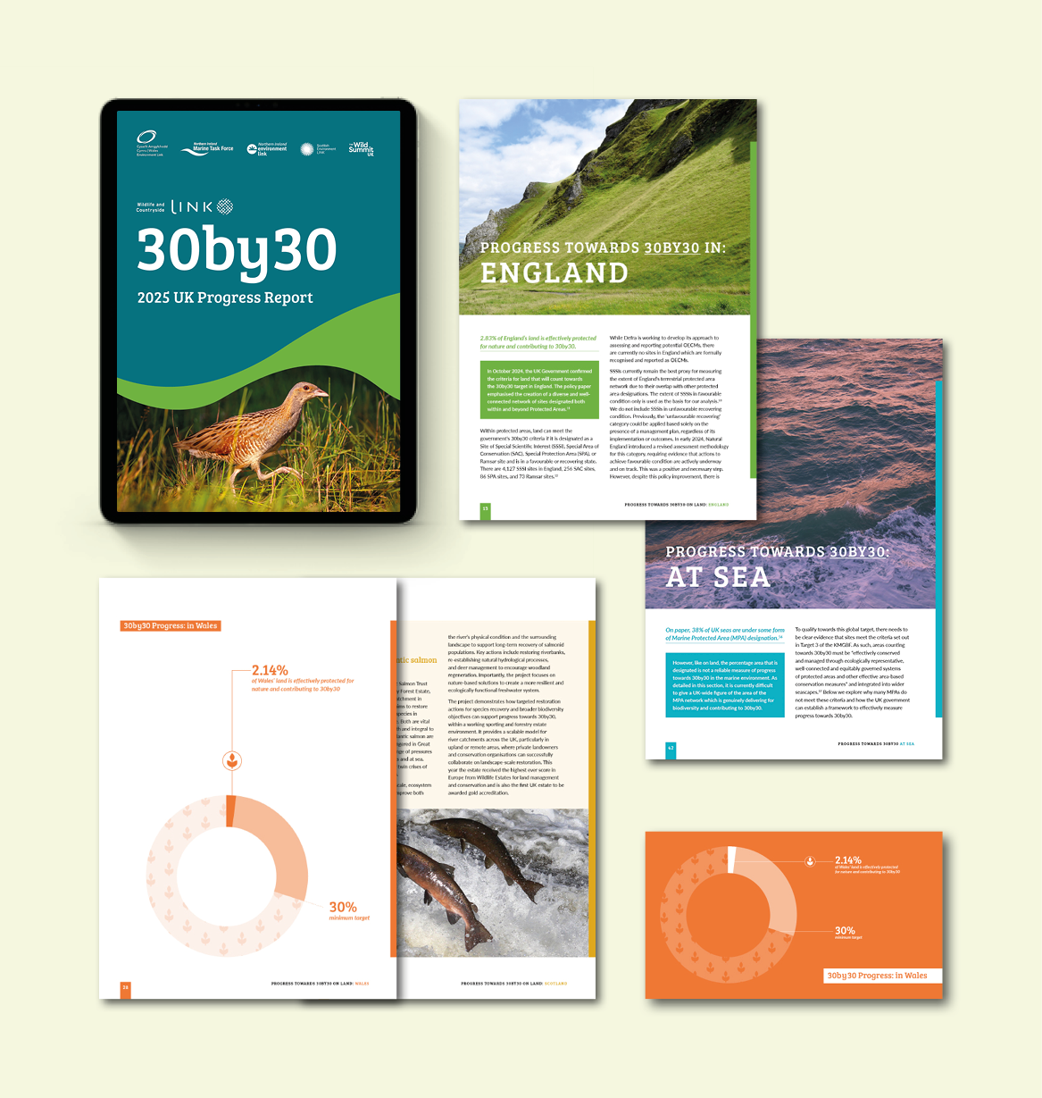 Mockup_WCL2.png