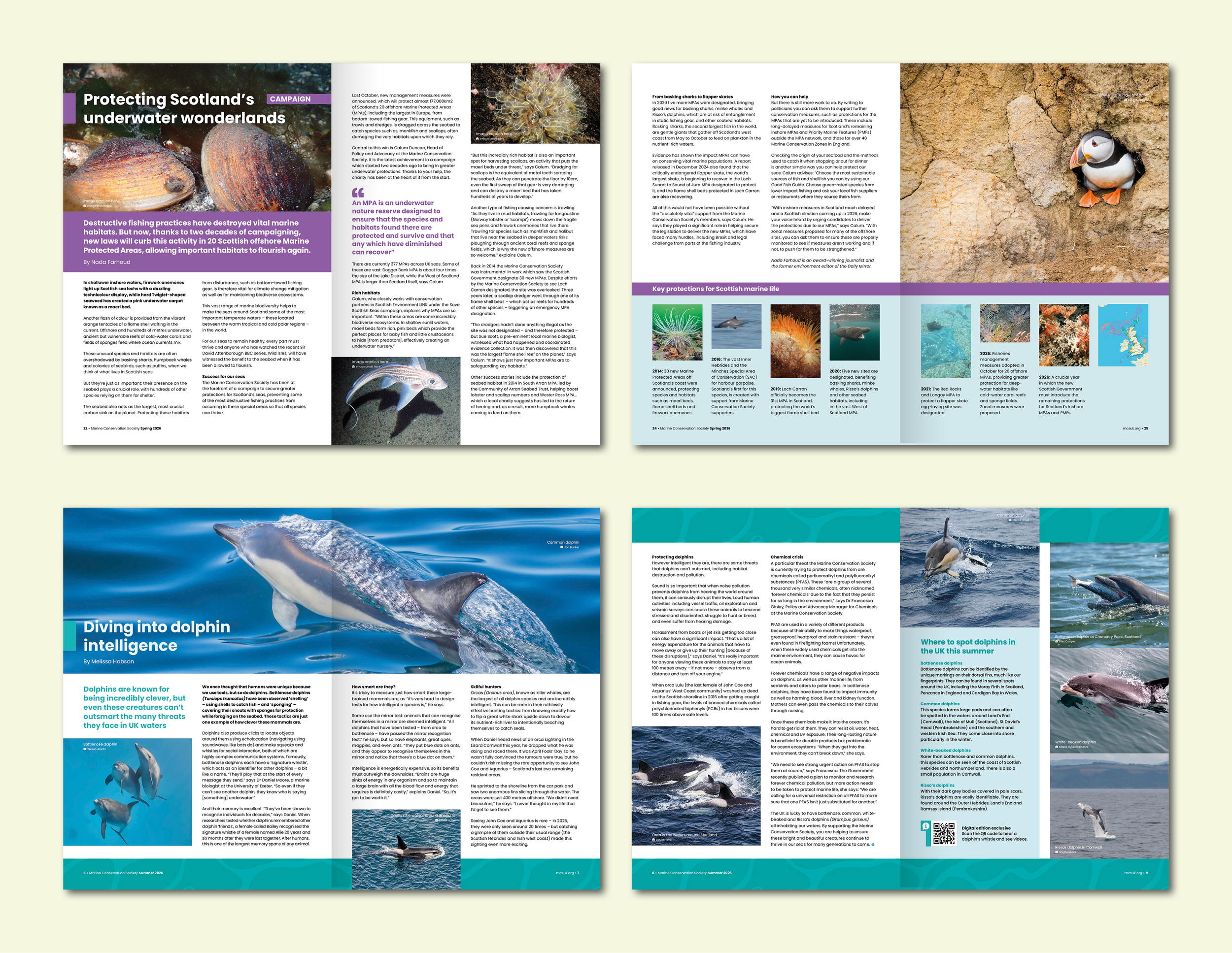 Marine Conservation Society

SUPPORTERS MAGAZINE
• 40pp A4
• Design and typesetting of internal layouts