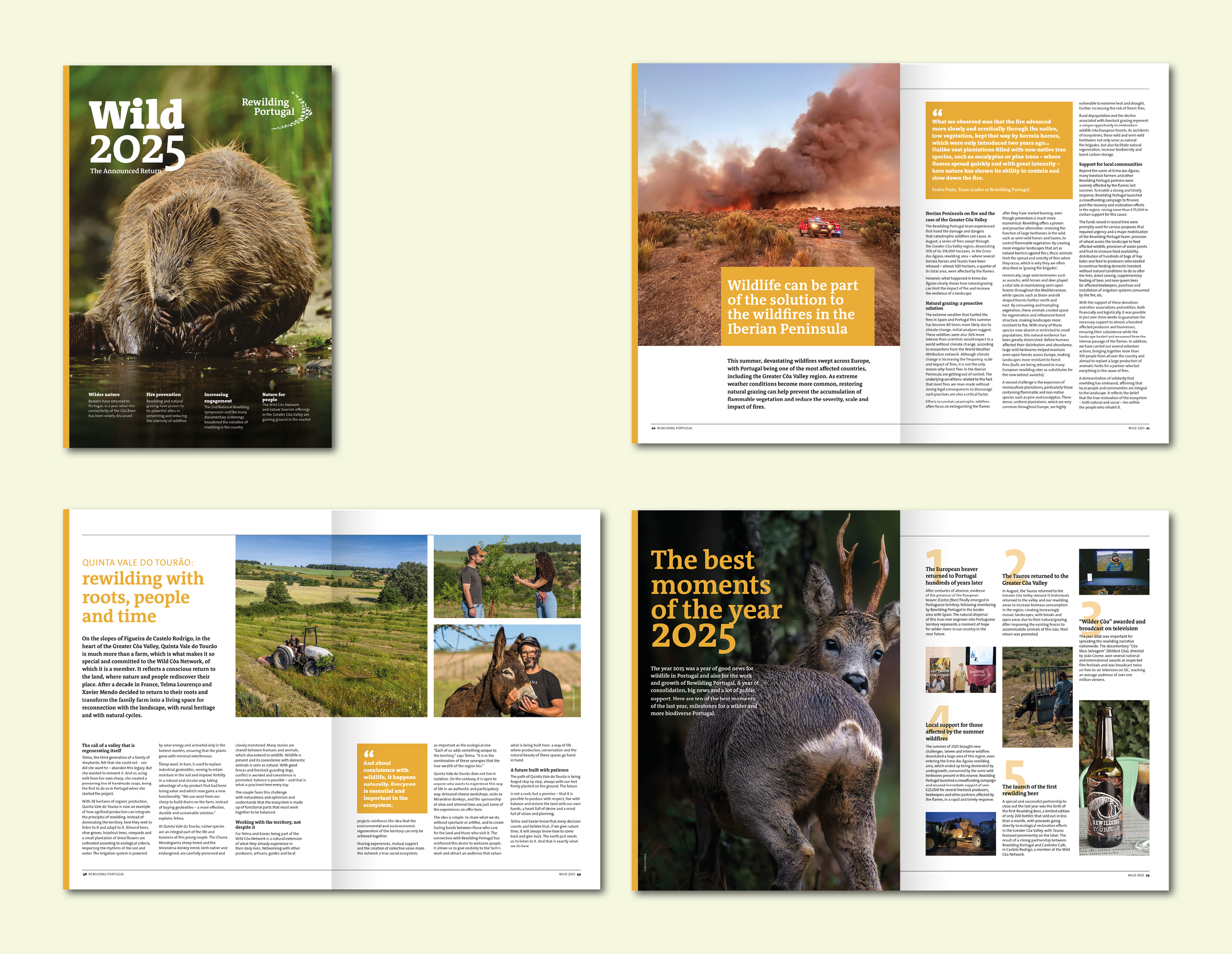 Rewilding Portugal

MAGAZINE STYLE IMPACT REPORT
• 64pp A4
• Design of cover and internal layouts
• Typesetting English and Portugese translations
• Print and digital file preparation