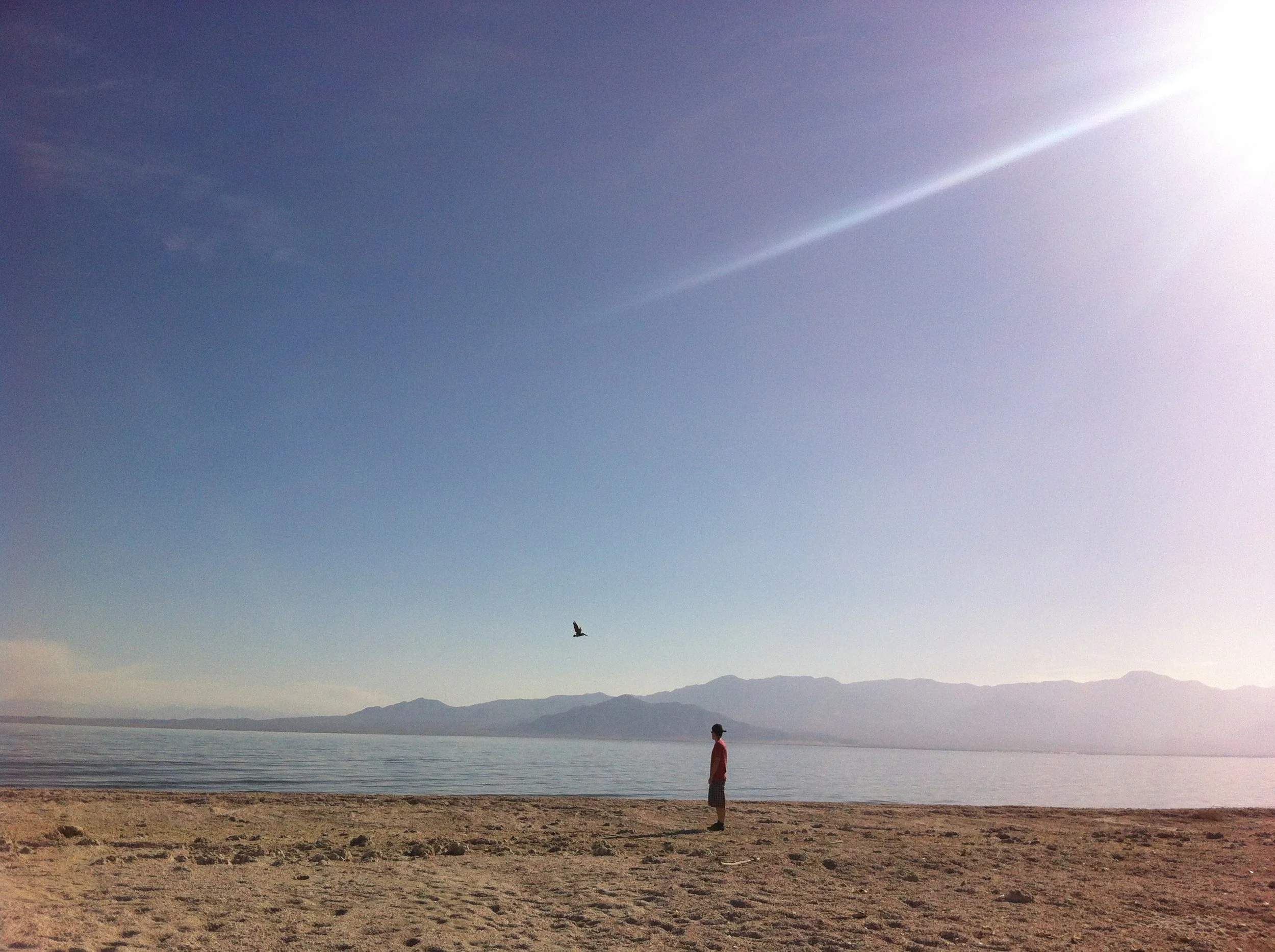 2013-05-26 17.09.09.jpg