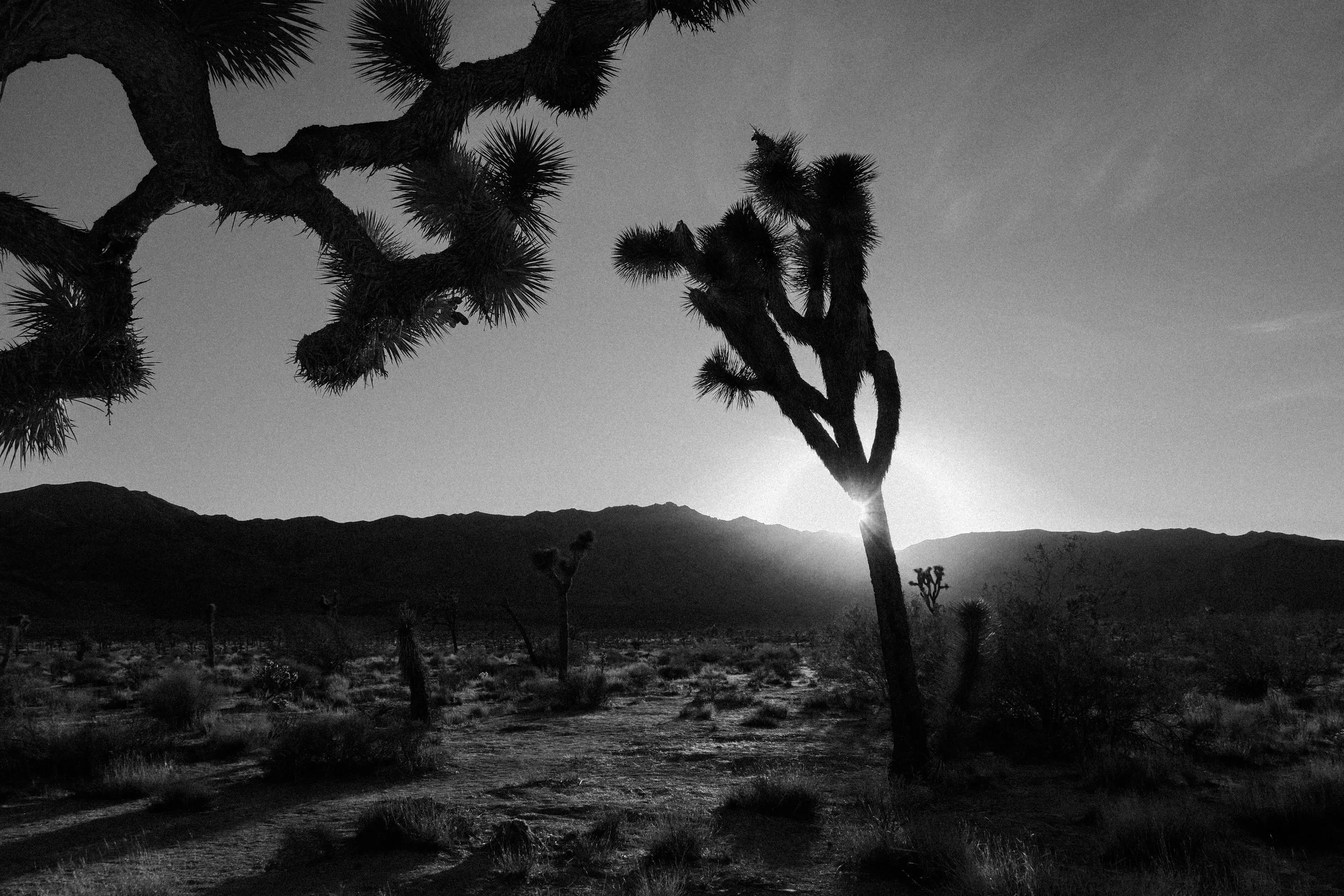 photos (10 of 8).jpg