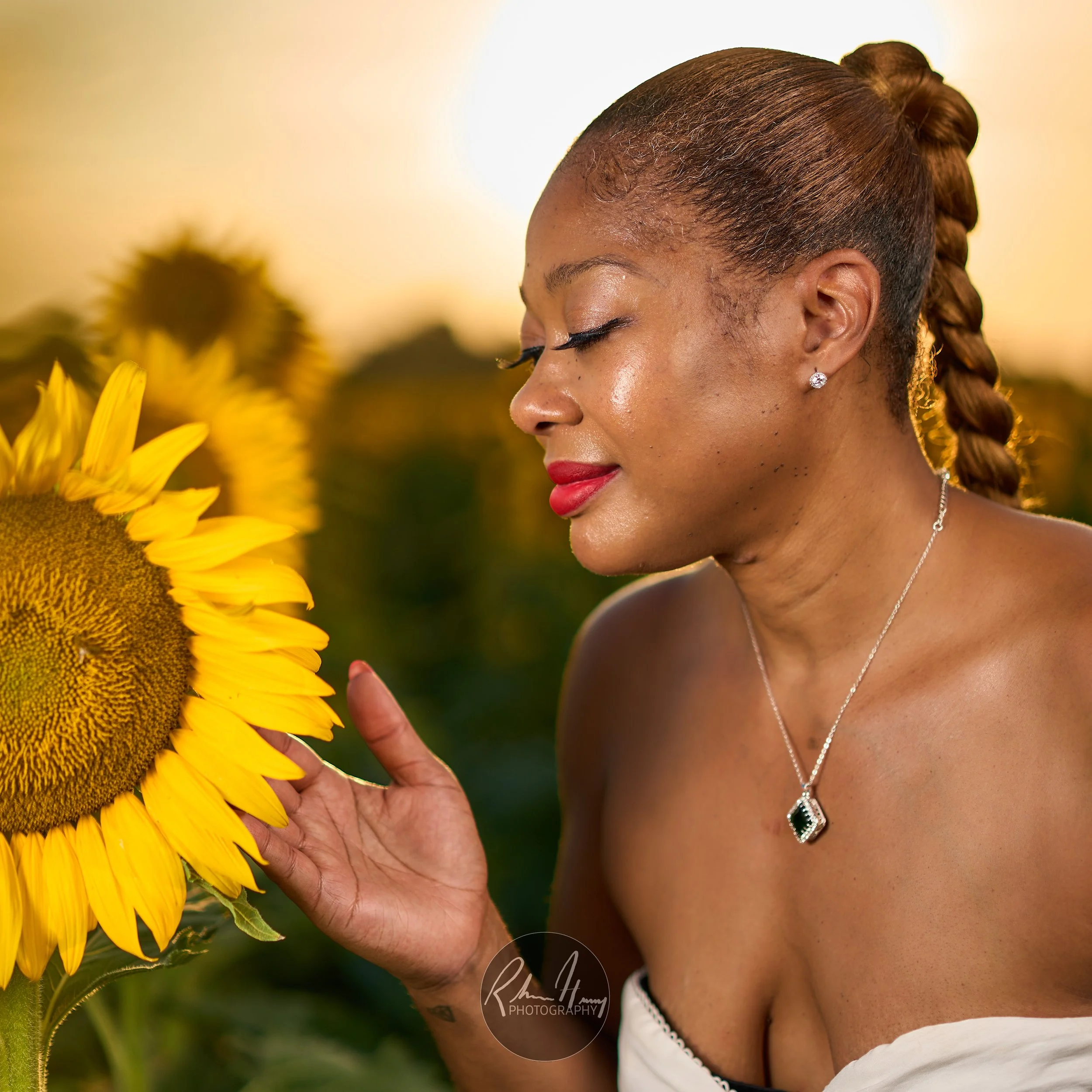 53928282845_0b57164a90_4k.jpg