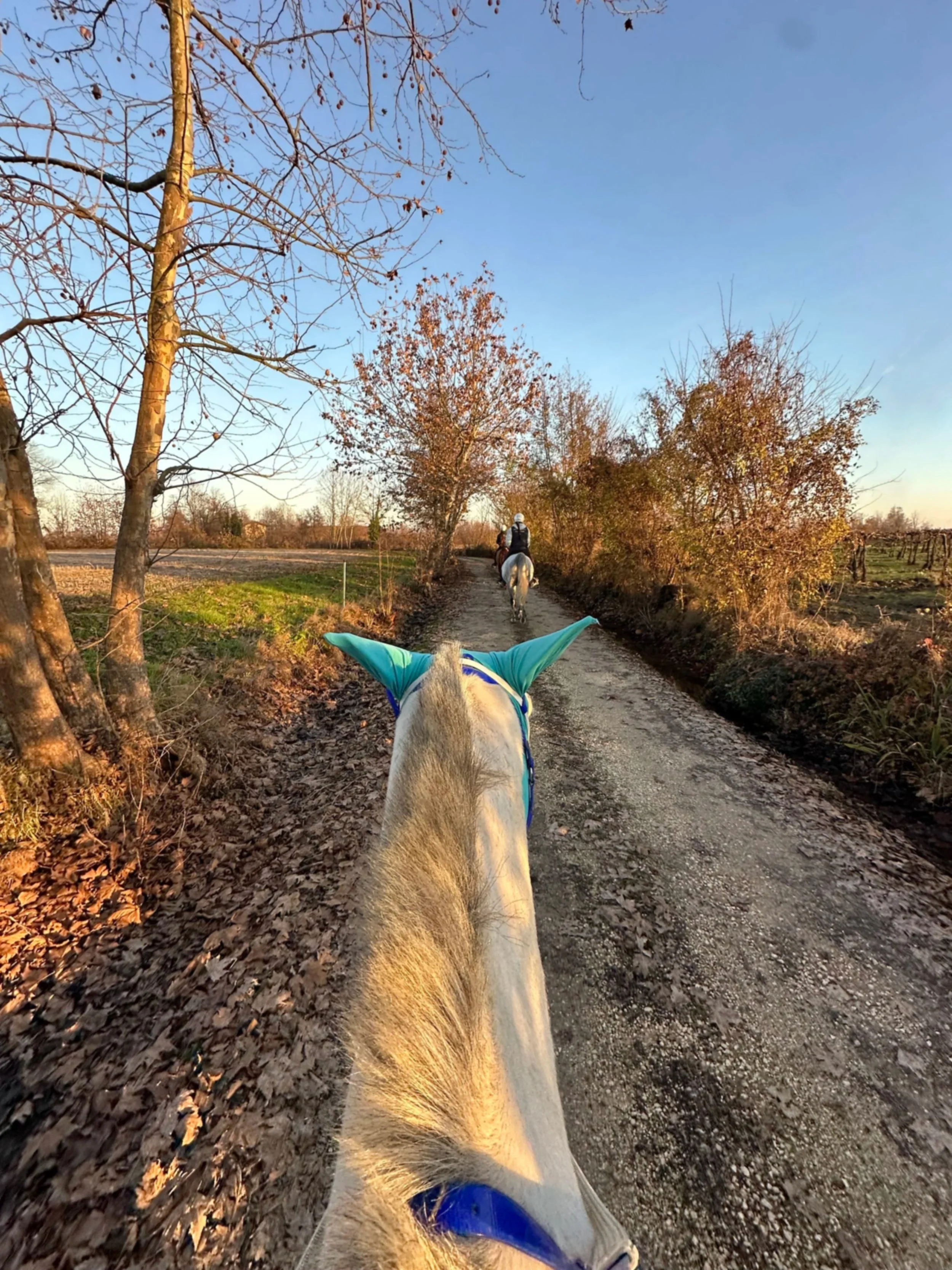 Jojart- i miei hobby 1