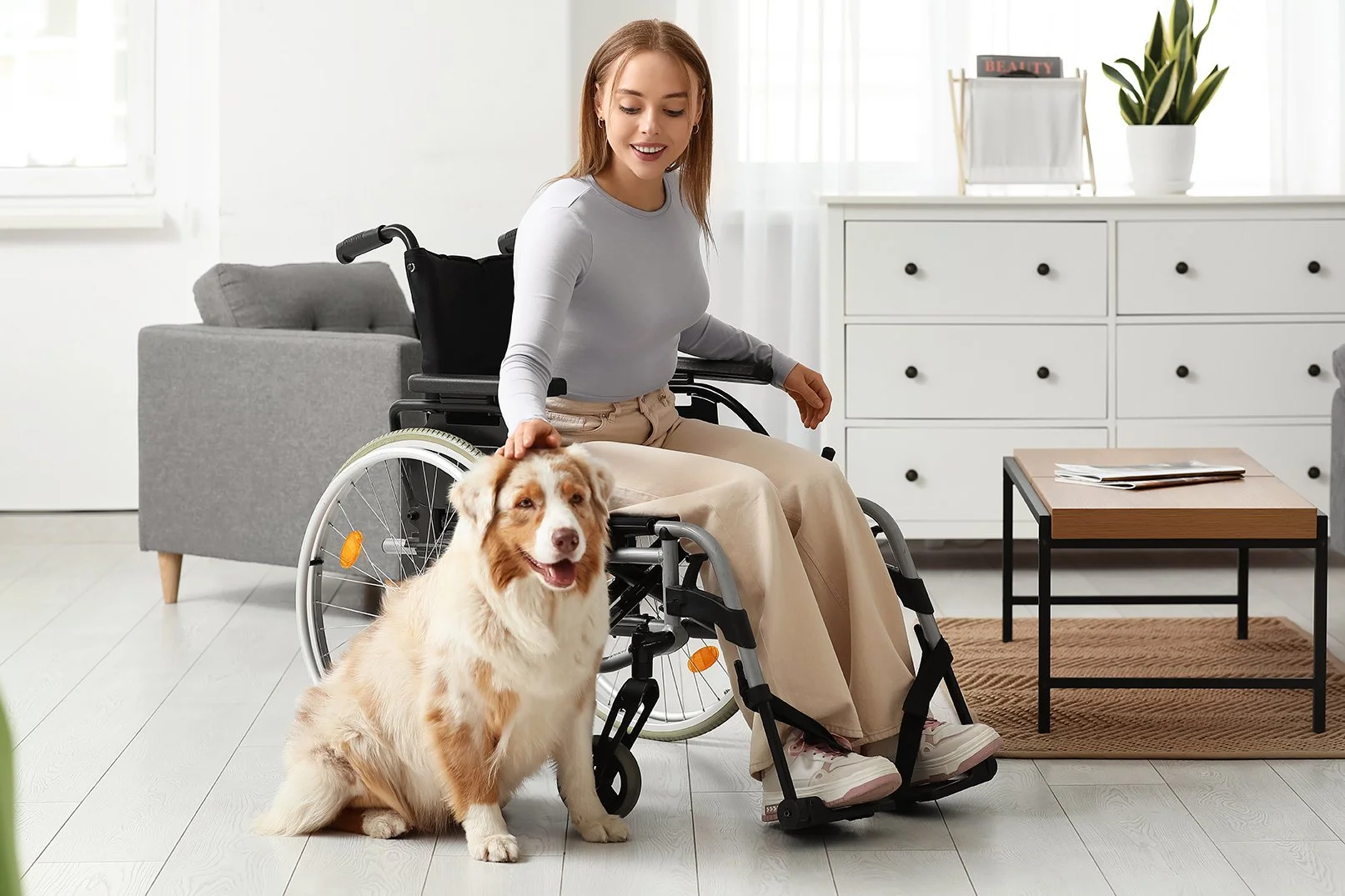 Your Assistance Animal and Your Home: What Colorado's New Law Protects