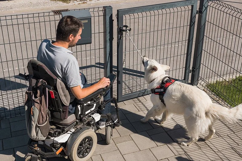 A man in a wheelchair with a service dog at a gated entrance.