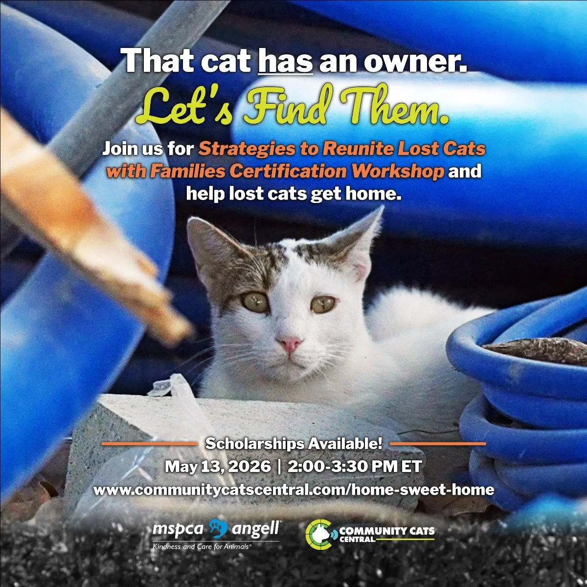 Strategies to Reunite Lost Cats with Families Certification Workshop