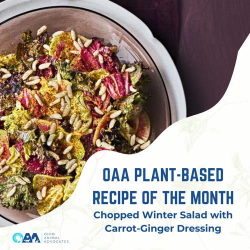 OAA Plant-Based Recipe of the Month: Chopped Winter Salad with Carrot-Ginger  Dressing — Ohio Animal Advocates