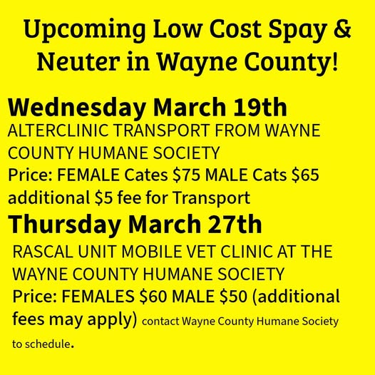 Rascal Unit Mobile Vet Spay Neuter Clinic at Wayne County Humane ...