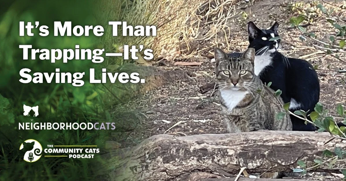 🐾 From curious to certified! Join the Neighborhood Cats &amp; Community Cats Podcast's TNR Workshop is TOMORROW! Learn to trap, talk to neighbors, and care for community cats like a pro. Just $10 to register. Don&rsquo;t miss it! 🐱

Sunday, July 27