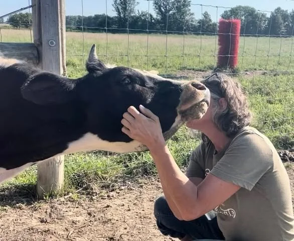 🐷🐮 A Heart for Animals 🐔🐴
Meet Sandy Horvath, a devoted volunteer and board member at Sunrise Sanctuary in Marysville, OH. From rescuing animals to educating the public, Sandy&rsquo;s compassion helps give over 140 farmed and companion animals a 