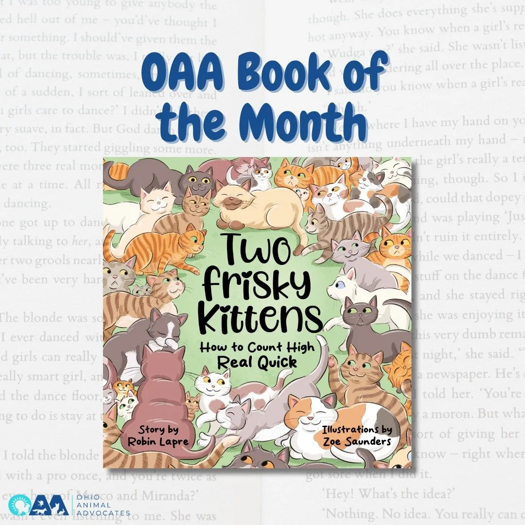 📚🐾 Book of the Month: Two Frisky Kittens: How to Count High Real Quick by Robin Lapre!

This playful counting adventure teaches kids the real-life consequences of cat overpopulation &mdash; and why spay/neuter saves lives. Perfect for parents, teac