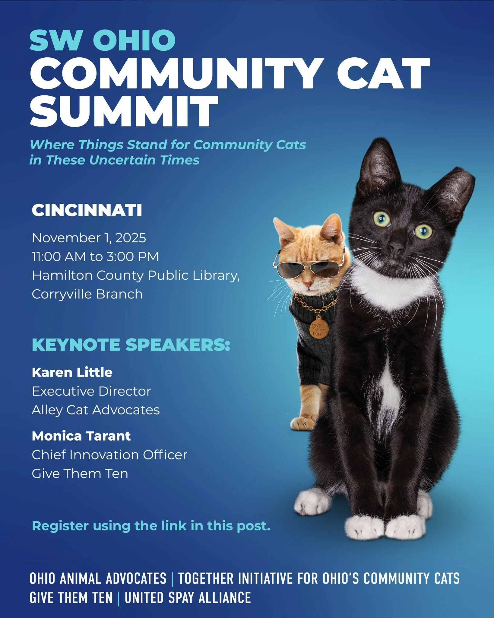 Join us in Cincinnati on November 1st for the Southwest Ohio Community Cat Summit &mdash; a collaborative event exploring where things stand for community cats in these uncertain times.
Hear from leading voices Karen Little (Alley Cat Advocates) and 