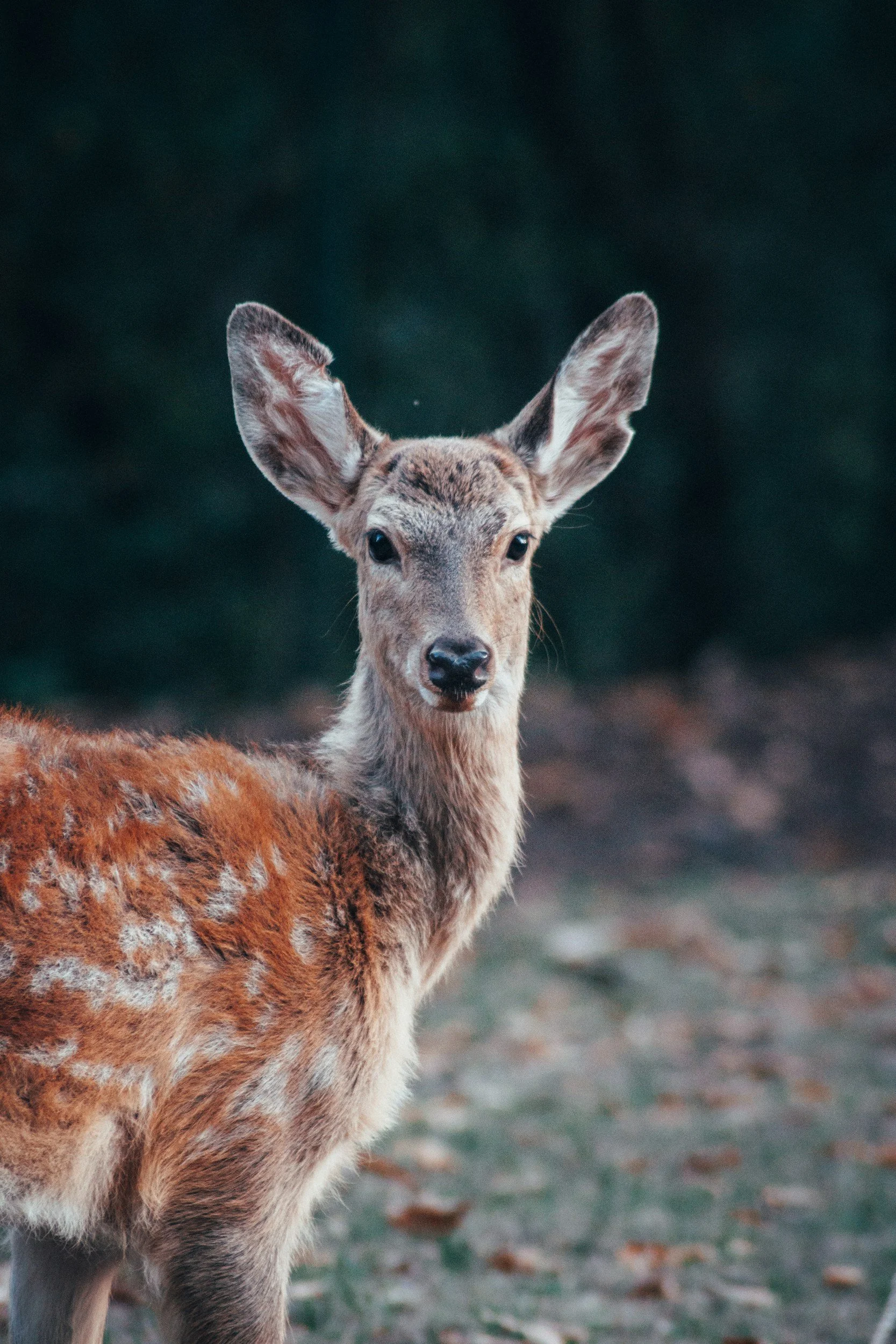 unsplash-image-oUIc4XH-VUY.jpg