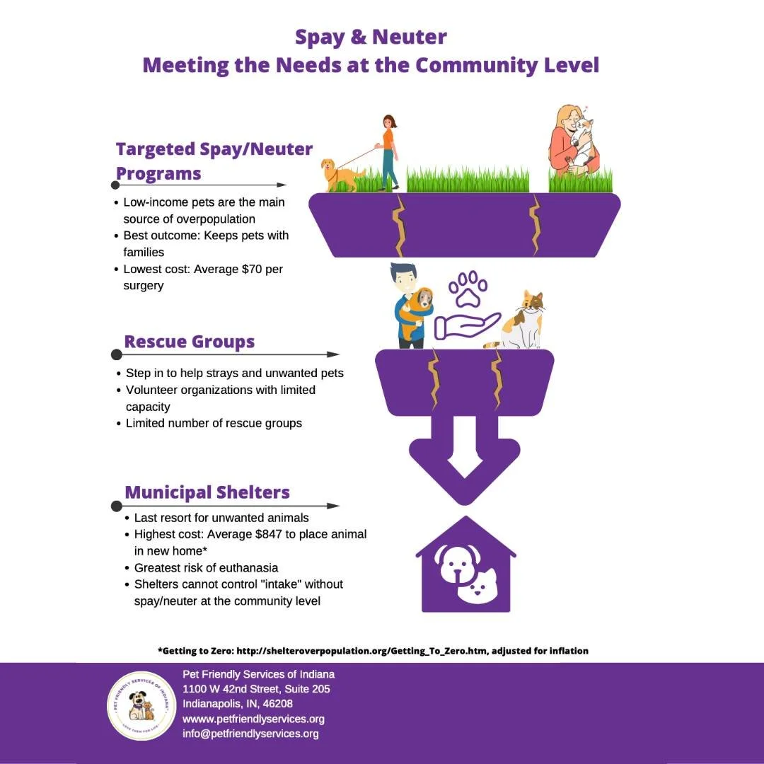 🐾 Did you know it costs an average of $70 to spay/neuter a cat, compared to $847 to rehome one through a shelter?

Spay/neuter isn&rsquo;t just cost-effective&mdash;it saves lives, keeps pets with families, and helps reduce the number of cats enteri