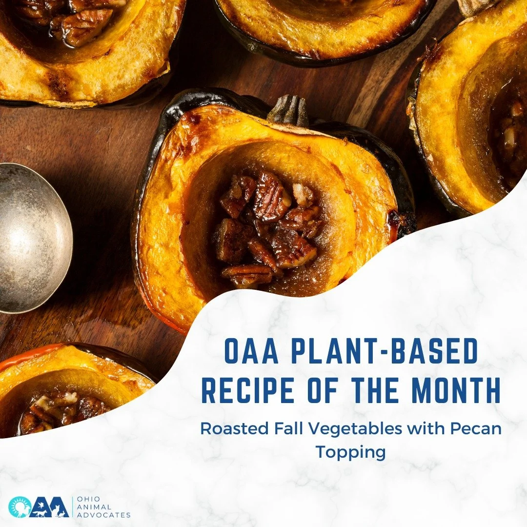 ✨ Fall flavors, cruelty-free! 🍂

Warm up your table with Roasted Fall Vegetables with Pecan Topping&mdash;a cozy, plant-based dish that&rsquo;s good for you and kind to animals. 🌱🐾

Read the recipe at https://www.ohioanimaladvocates.org/news/roast