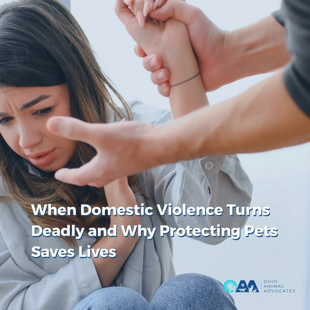 Domestic violence doesn&rsquo;t just harm people &mdash; it endangers the animals they love. The PAWS Act helps survivors escape abuse with their pets.

🐾 Urge Congress to fully fund this life-saving law 👉 Read more and take action at ohioanimaladv