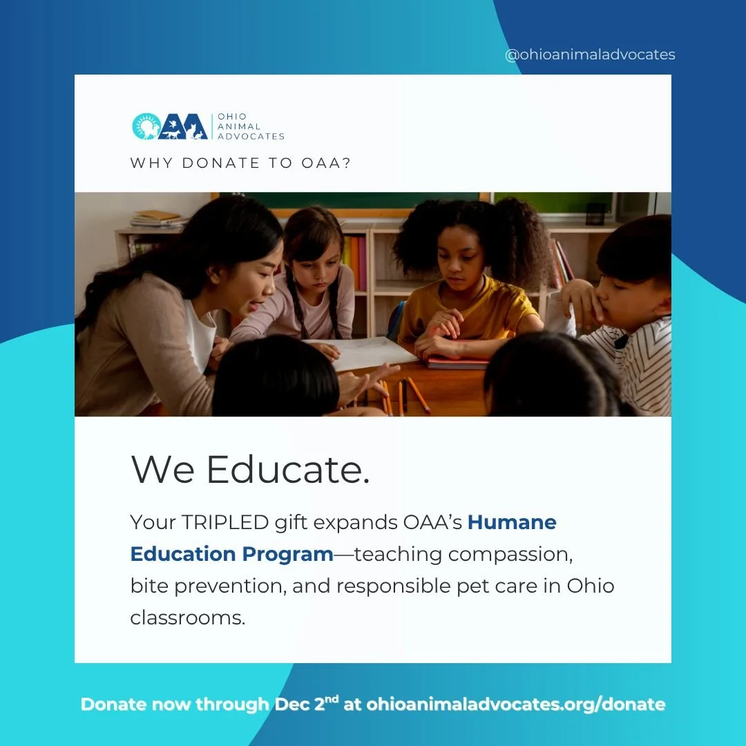 Education saves lives. 📚🐾

Your Giving Tuesday donation helps OAA host events like the Community Cat Summit, where advocates and experts share the tools needed to protect and care for Ohio&rsquo;s outdoor cats.

When you give, you&rsquo;re funding 