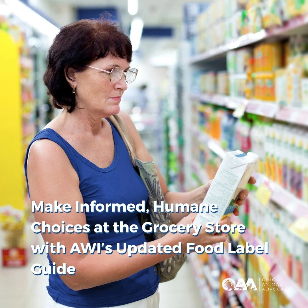 Confused by food labels like &ldquo;free-range&rdquo; or &ldquo;natural&rdquo;? 🐄🐓 AWI&rsquo;s updated Food Label Guide makes it easy to choose higher-welfare groceries and support humane, sustainable farming. 🌎

👉 Learn more and take action for 